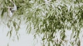 Cosas que pasan a los guías de turistas / Créditos: Fotógrafo Priscilla Du Preez vía Unsplash