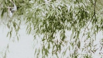 Cosas que pasan a los guías de turistas / Créditos: Fotógrafo Priscilla Du Preez vía Unsplash