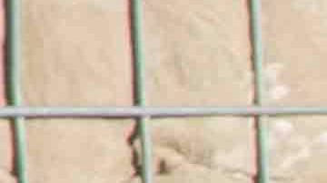 Soldados de EEUU junto a militares de Afganistán durante un ejercicio.