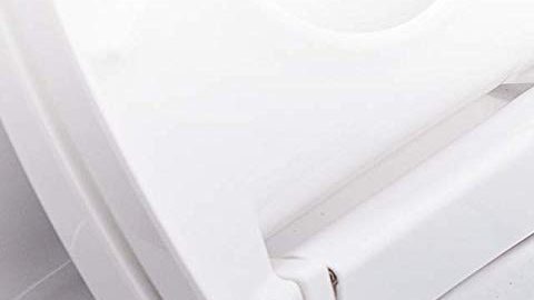 Productos para limpiar el sucio del toilet.