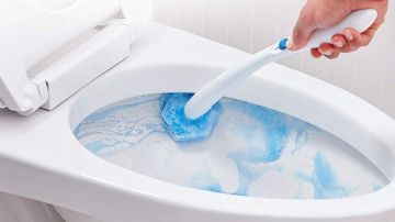 Productos para limpiar el sucio del toilet.
