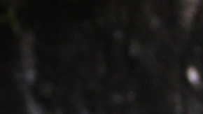 Sarita, José Joel y Marysol, hijos de José José.