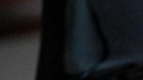 Foto: Mammiya/Pixabay