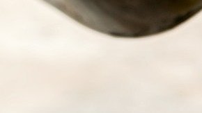 El aceite de oliva tiene efectos comprobados de reducción de riesgo de enfermedades cardiovasculares y ha favorecido la pérdida de peso al sustituir grasas saturadas.