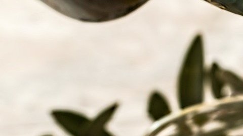 El aceite de oliva tiene efectos comprobados de reducción de riesgo de enfermedades cardiovasculares y ha favorecido la pérdida de peso al sustituir grasas saturadas.