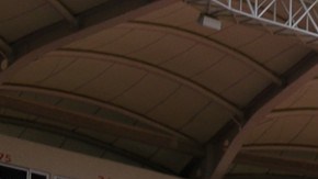 Las jugadoras profesionales se conocieron en Club americanista.