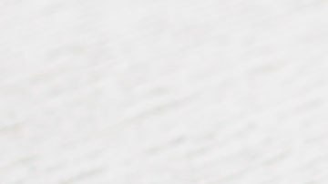 El primer animal en ser clonado en Estados Unidos se llamó Nubia.