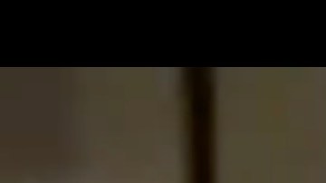 Captura del video de seguridad en el que se ve al hombre abusando de su mascota.