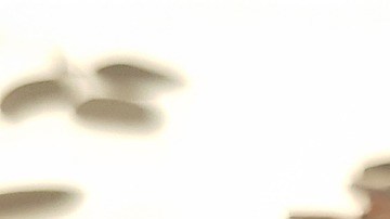 Crédito: Juhi King /Pixabay