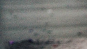 Con esta información te vas a cuestionar qué tanto aspiras bien tu alfombra.