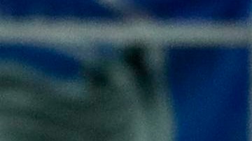 El Atalanta sigue siendo el equipo sensación de la Champions League en el 2020.