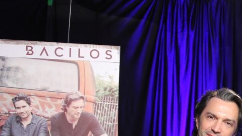 Bacilos