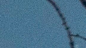 Hay 14 casos de contagios confirmados en Estados Unidos.