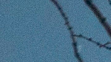 Hay 14 casos de contagios confirmados en Estados Unidos.