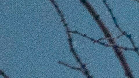 Hay 14 casos de contagios confirmados en Estados Unidos.