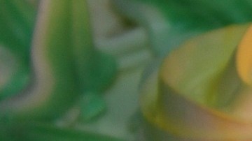 Usuarios de Facebook salvaron la fiesta de cumpleaños.