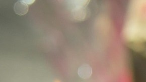 La fiesta era de una niña de 8 años.