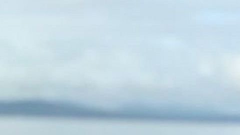 Los vecinos organizaron la campaña "Traigan a Francisco a Casa".