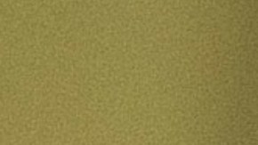 Tanto Buttigieg como Sanders se han proclamado vencedores del caucus debido a su empate prácticamente técnico.