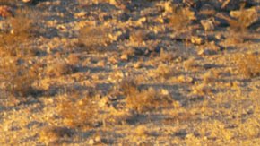 cadillacescalade-05022020-04