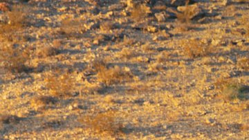 cadillacescalade-05022020-04