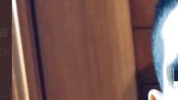 Cae el Takia, uno de los más buscados del sangriento Cártel del Noreste