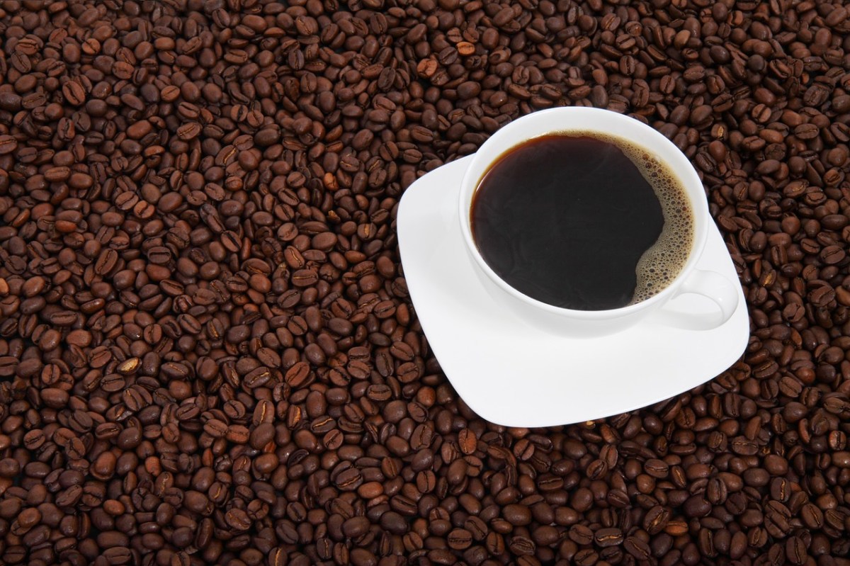 El mejor café en grano 2024: calidad, sabor y equidad