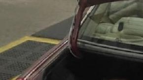 Indocumentados cajuela