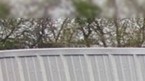 Tráiler indocumentados