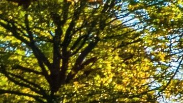 España apuesta por la movilidad eléctrica en los autos y activa el Plan MOVES 2020.