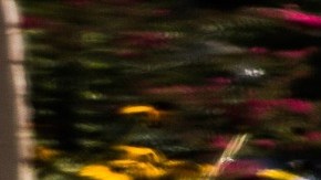 car-tire-1031579_1920