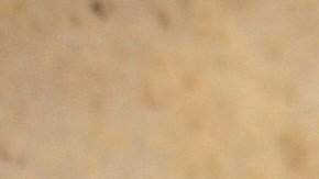 Los huesos de carnaza suelen gustarle mucho a los perros.