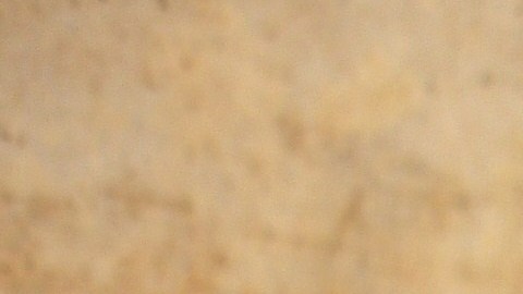 Los huesos de carnaza suelen gustarle mucho a los perros.