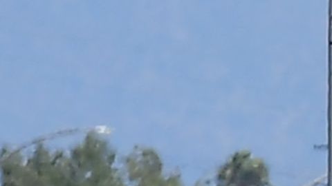 Conductores California