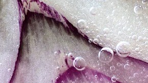 Foto: Ulrike Leone/Pixabay