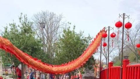 El Distrito Internacional Chinatown de Houston.