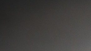 Las moscas lo molestaban y así se las quitó de encima.