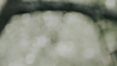 San Valentín en la casa de Romeo y Julieta / Créditos: Fotógrafo Carly Rae Hobbins vía Unsplash