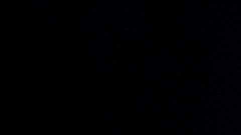 Joe Biden tomó a su favor los argumentos de la republicana.