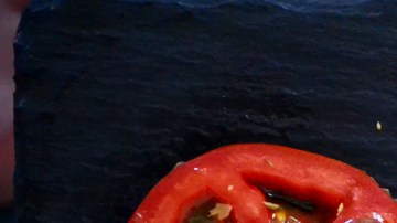 Foto: Dana Tentis/PxHere