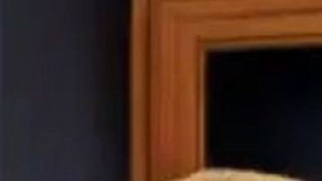 En junio de 2018, la revista 'TIME' hizo referencia a que el presidente Trump se siente rey.