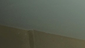 Por ahora, el albergue puede recibir a 25 personas aunque planean expandirlo. / fotos: Manuel Ocaño.