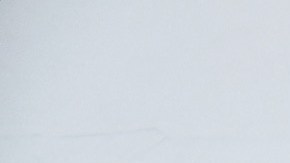 Shields conquistó los títulos de peso medio del CMB, AMB, FIB y OMB al derrotar a Christina Hammer, en 2019.