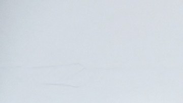 Shields conquistó los títulos de peso medio del CMB, AMB, FIB y OMB al derrotar a Christina Hammer, en 2019.