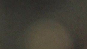 Un canguro comiendo una naranja.