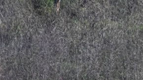 En el accidente murieron Kobe Bryant, su hija ‘Gigi’ y otras siete personas.