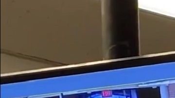 Los hechos se registraron este domingo en El Bronx.