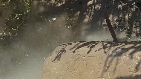Esta piedra llevó a descubrir una ciudad que se creía desaparecida.
