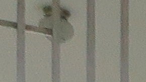 Muchos negocios en el suroeste de Puerto Rico están paralizados.