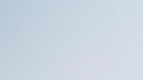 La Casa Blanca nunca se ha pronunciado sobre la manera correcta de escribir el día feriado.
